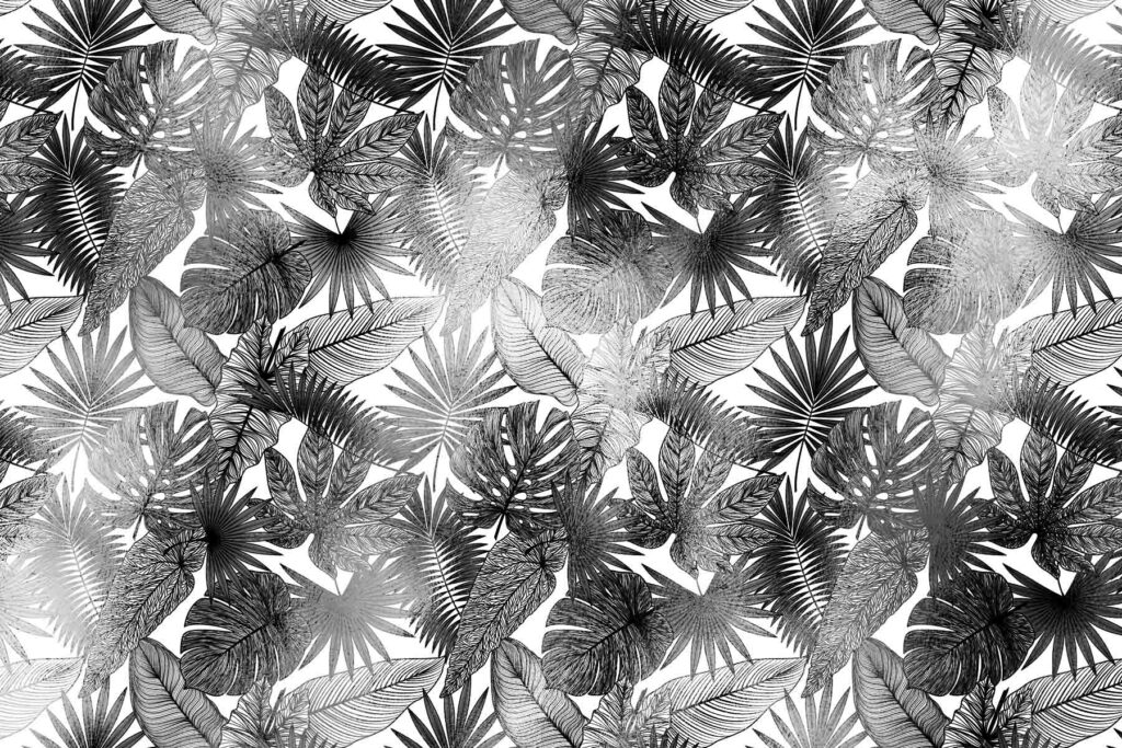 PlateART Duschrückwand Exklusiv Blätter Dschungel weiß schwarz