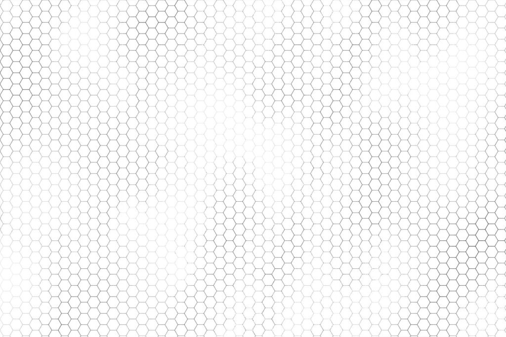 PlateART Duschrückwand Exklusiv Hexagon weiss schwarz glänzend