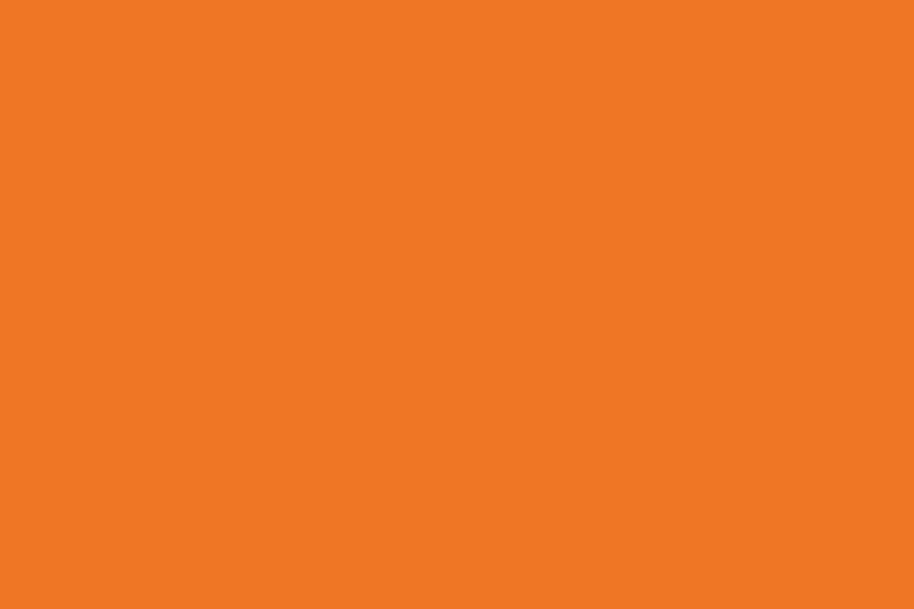 PlateART Duschrückwand Küchenrückwand Wandverkleidung RAL 2008 Hellrotorange