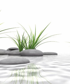 PlateART Duschrückwand Küchenrückwand Wandverkleidung Wellness Zen Spa Steine Gräser