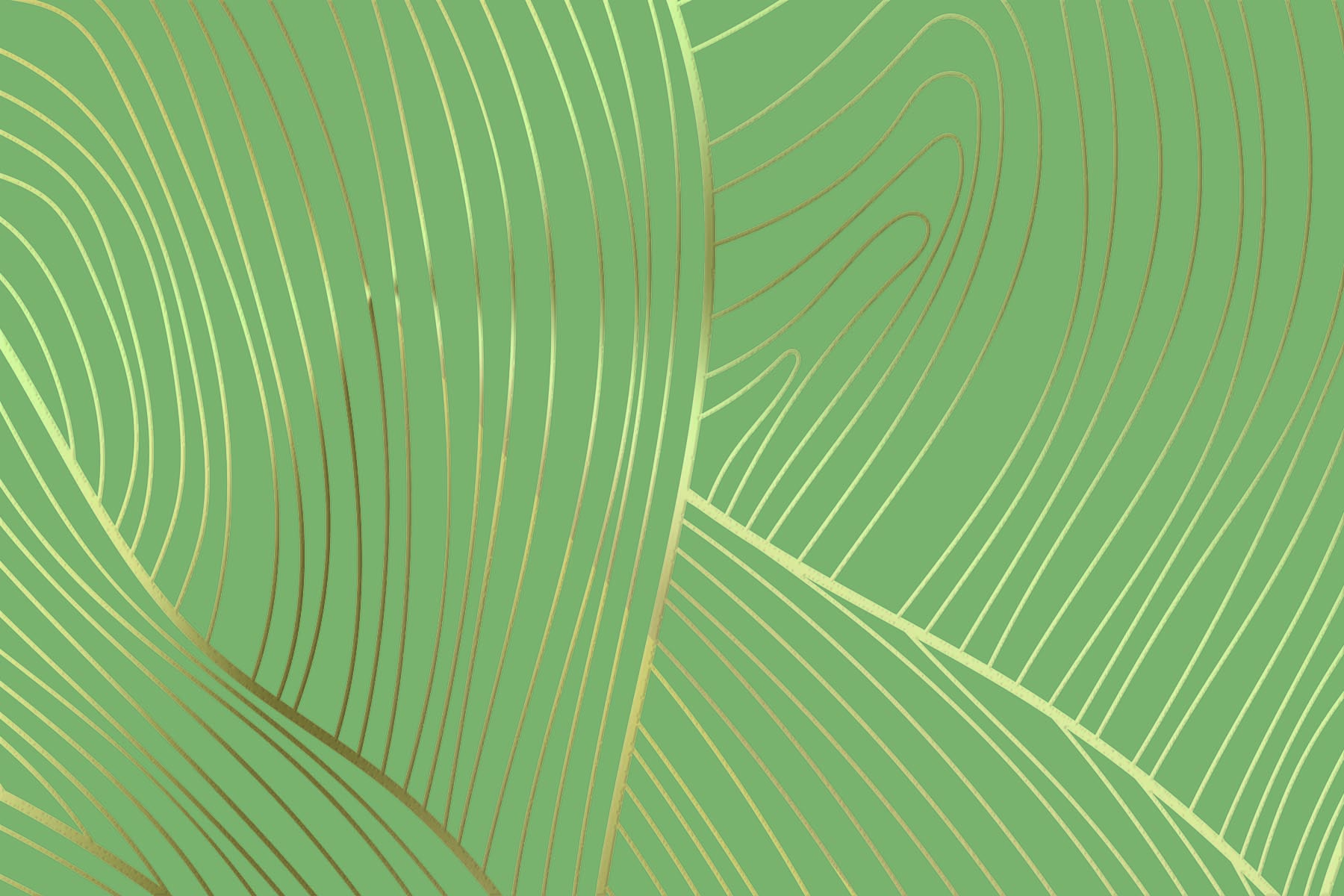 PlateART Duschrückwand Küchenrückwand Wandverkleidung Exklusiv Goldeffekt modern grün