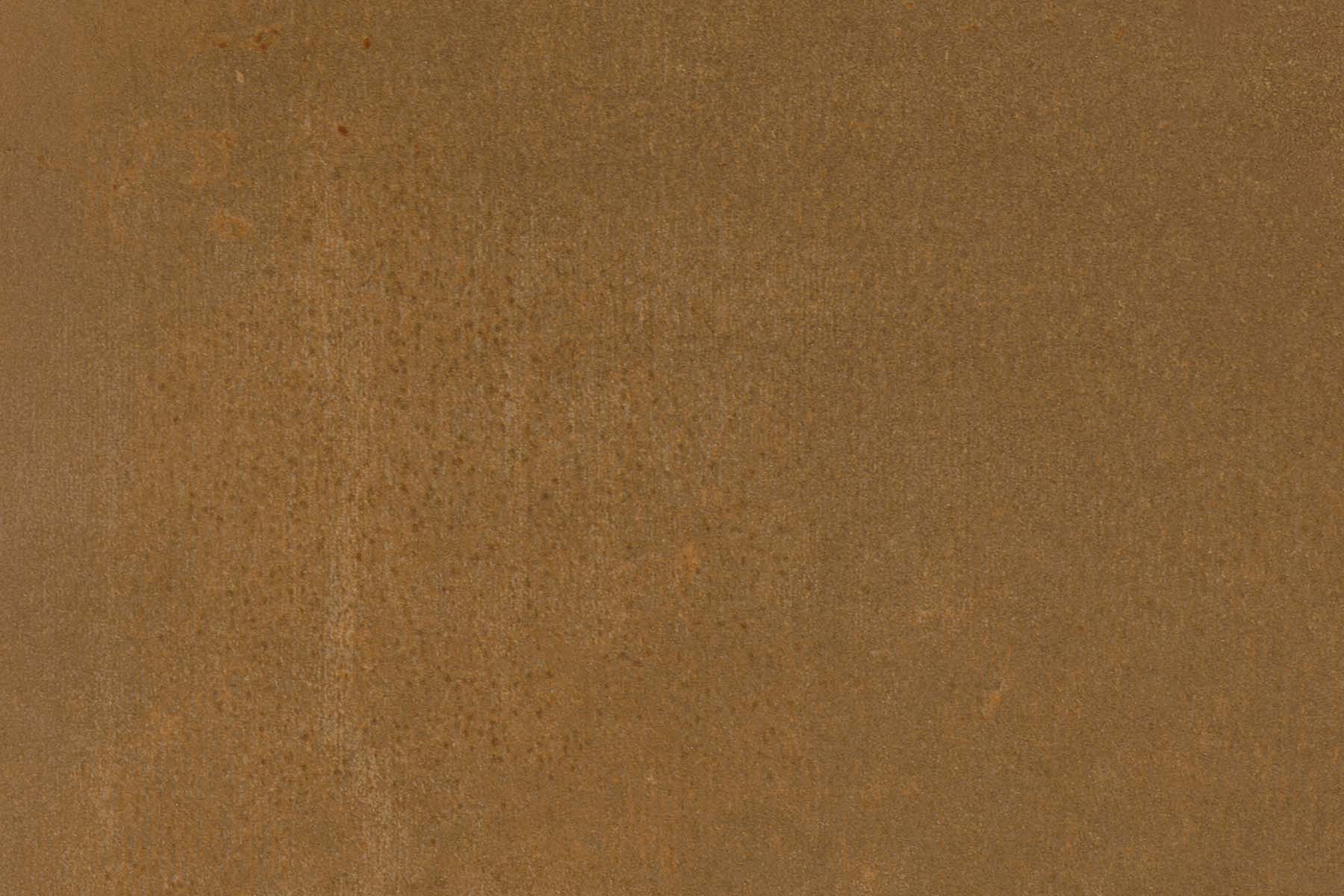 PlateART Duschrückwand Küchenrückwand Wandverkleidung Rost Rostoptik