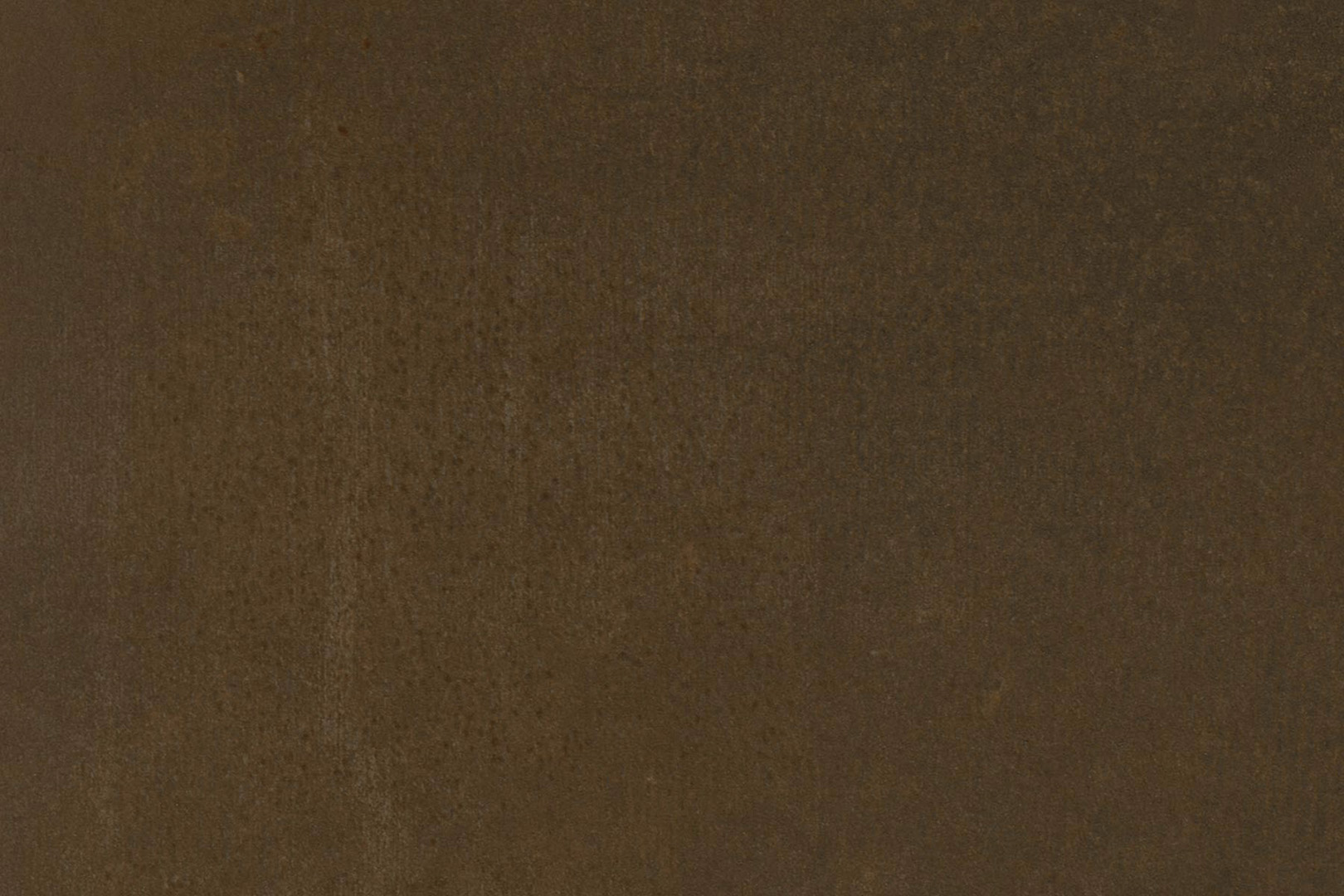 PlateART Duschrückwand Küchenrückwand Wandverkleidung Rostoptik