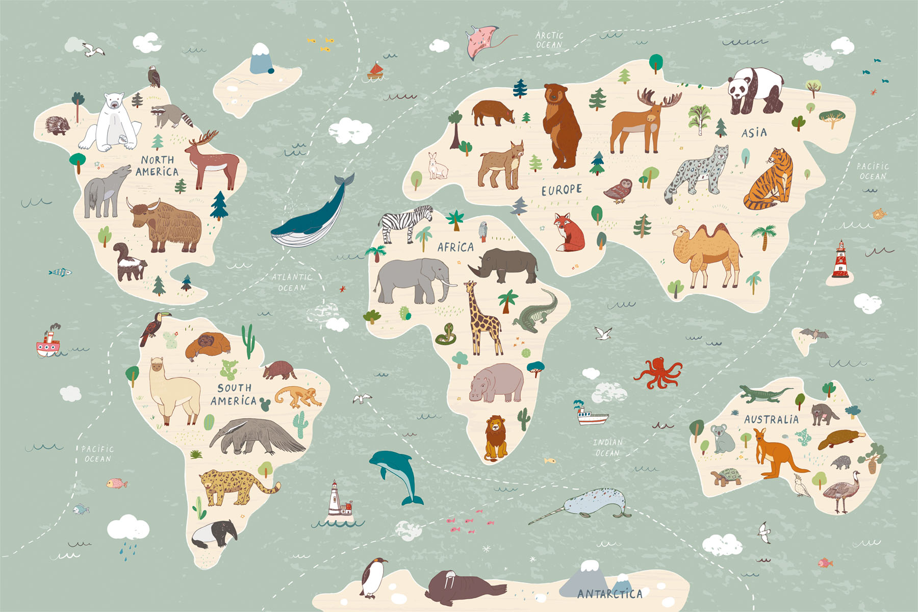 PlateART Duschrückwand Kindermotiv Weltkarte