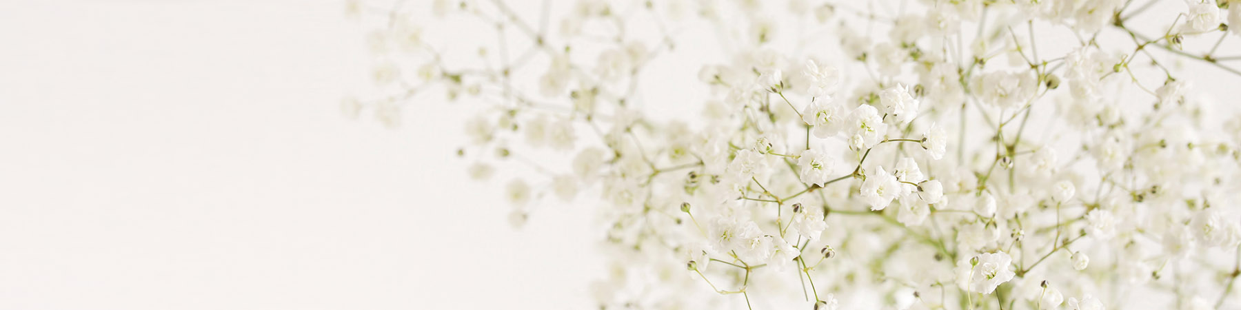 PlateART Duschrückwand Küchenrückwand Wandverkleidung sanfte Blumen