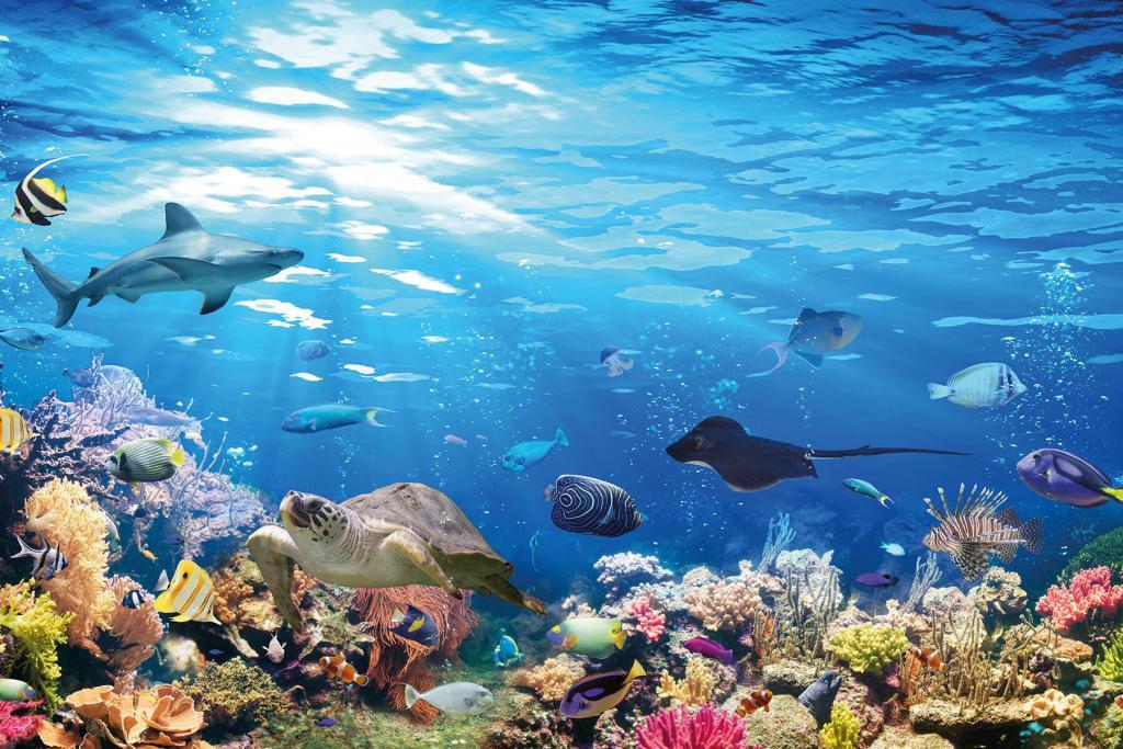 Strand & Meer K_24_21 Duschrückwand maßgefertigt kaufen!