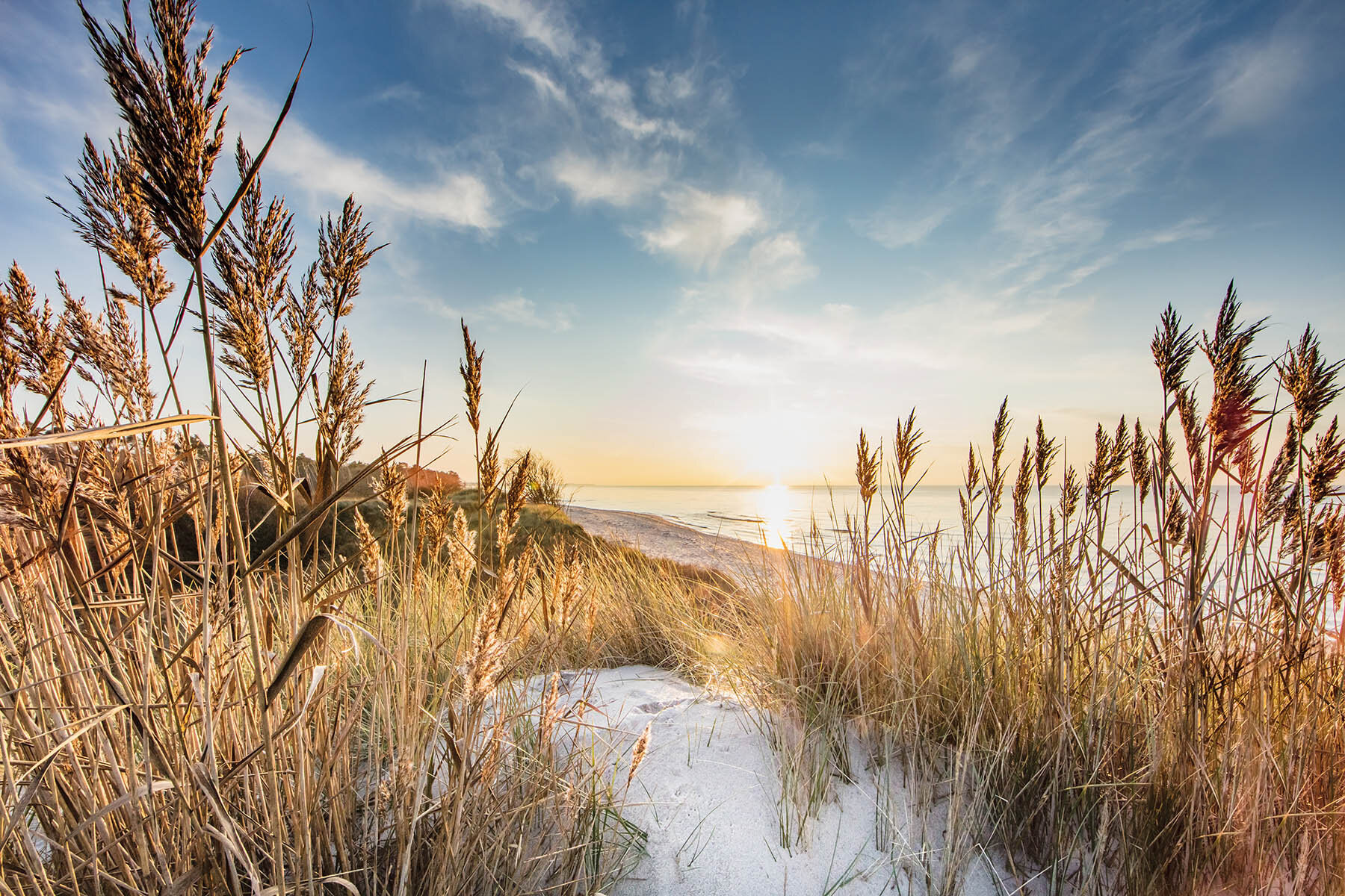 PlateART Wandbild Maritim Ostsee Strand Düne mit Gräsern