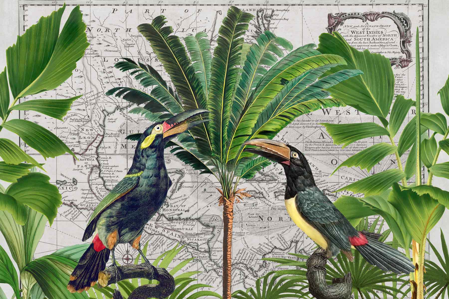 PlateART Duschrückwand Weltkarte Vögel Palmen Dschungel