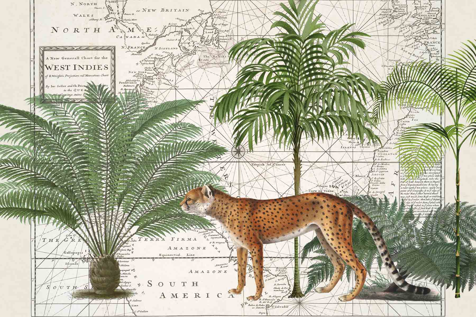 PlateART Duschrückwand Küchenrückwand Wandverkleidung PlateARTIST Vintage Karte Dschungel