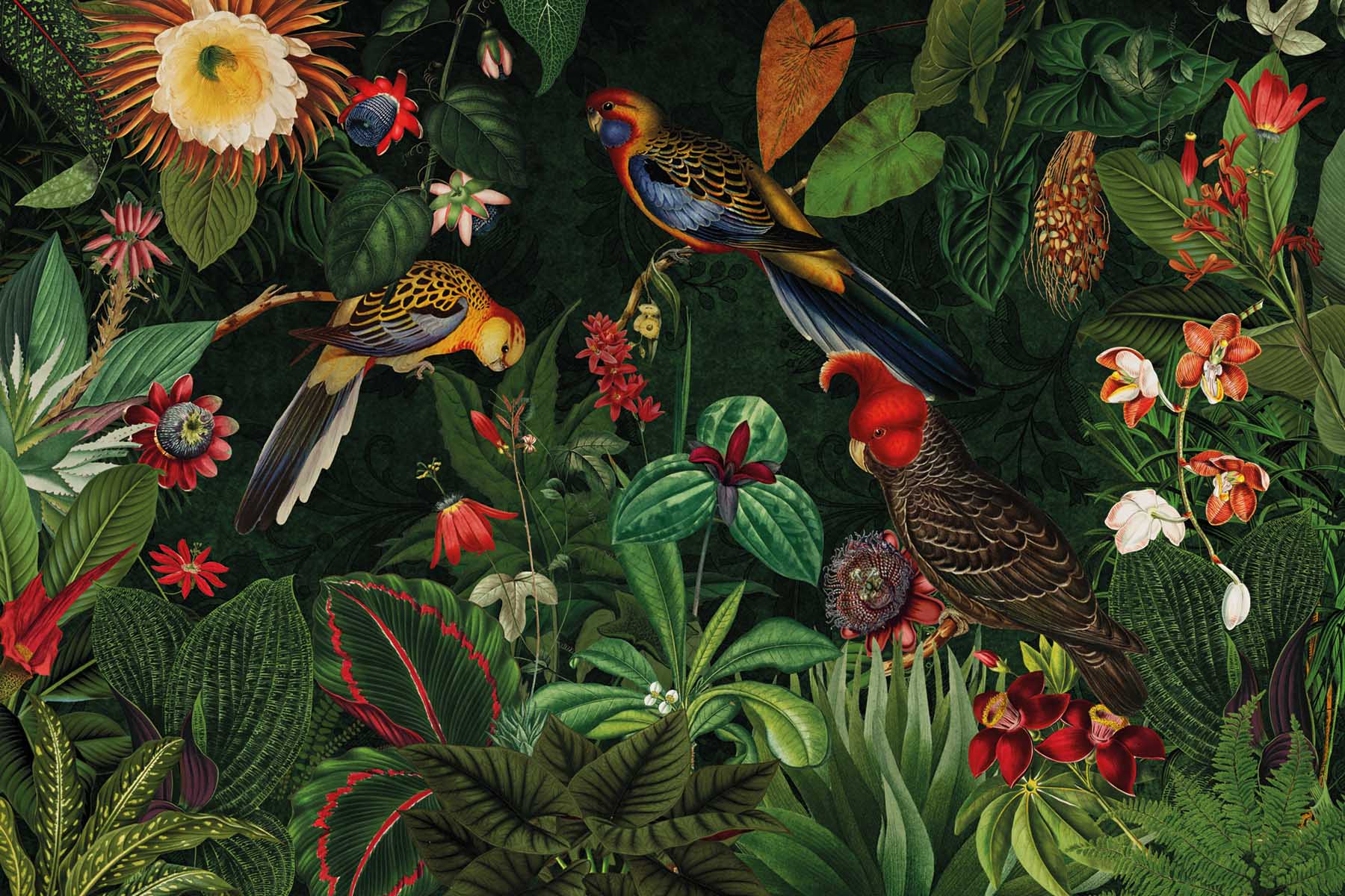 PlateART Duschrückwand Küchenrückwand Wandverkleidung PlateARTIST Dschungel Vögel