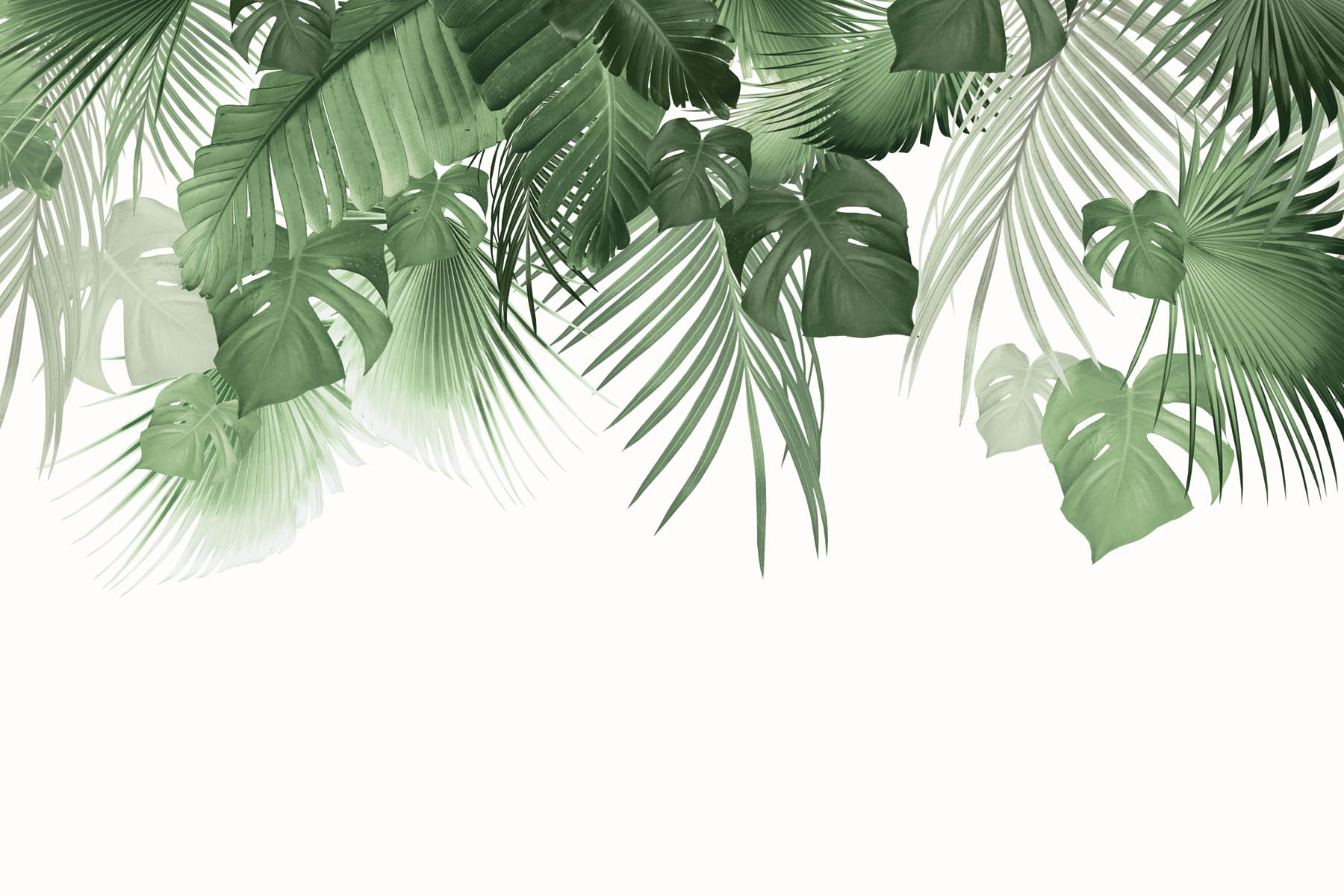 PlateART Duschrückwand Küchenrückwand Wandverkleidung PlateARTIST Blätter modern Monstera