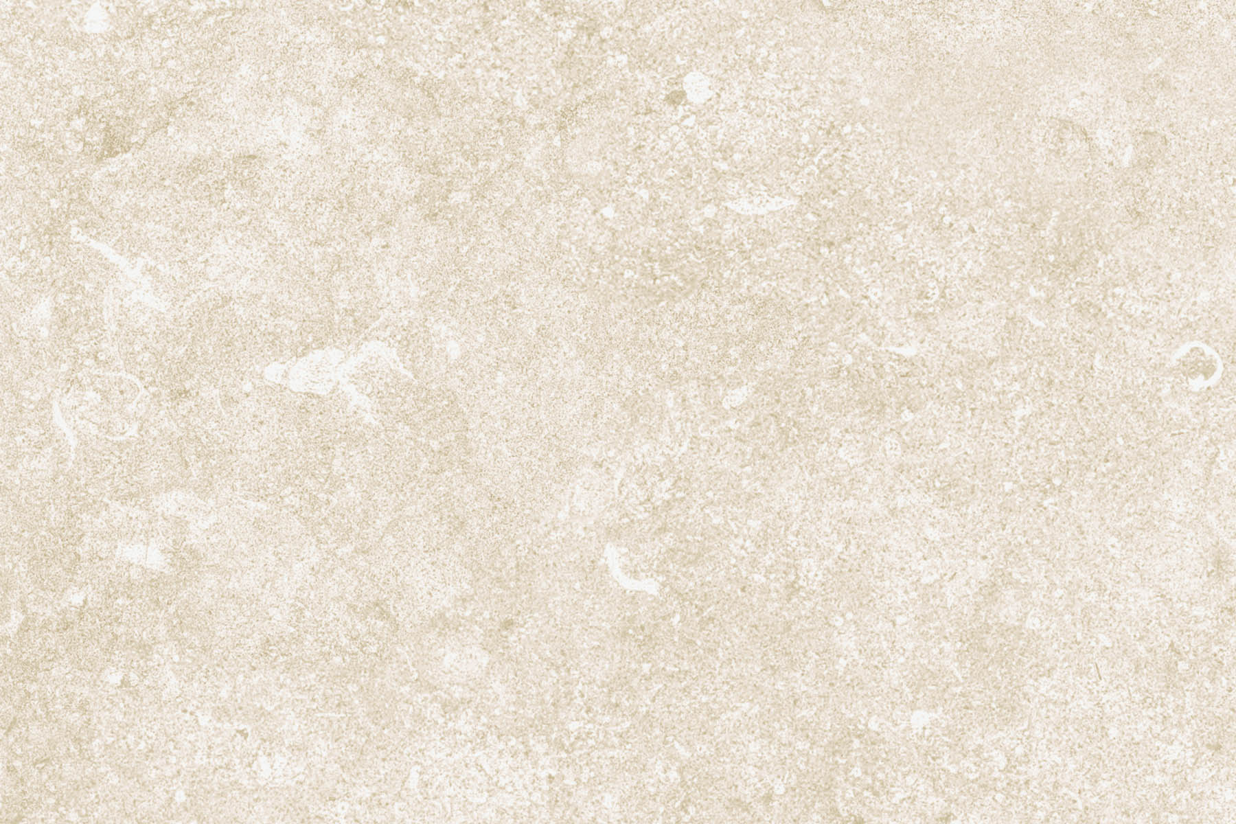 PlateART Wandverkleidung Duschrückwand Küchenrückwand Stein