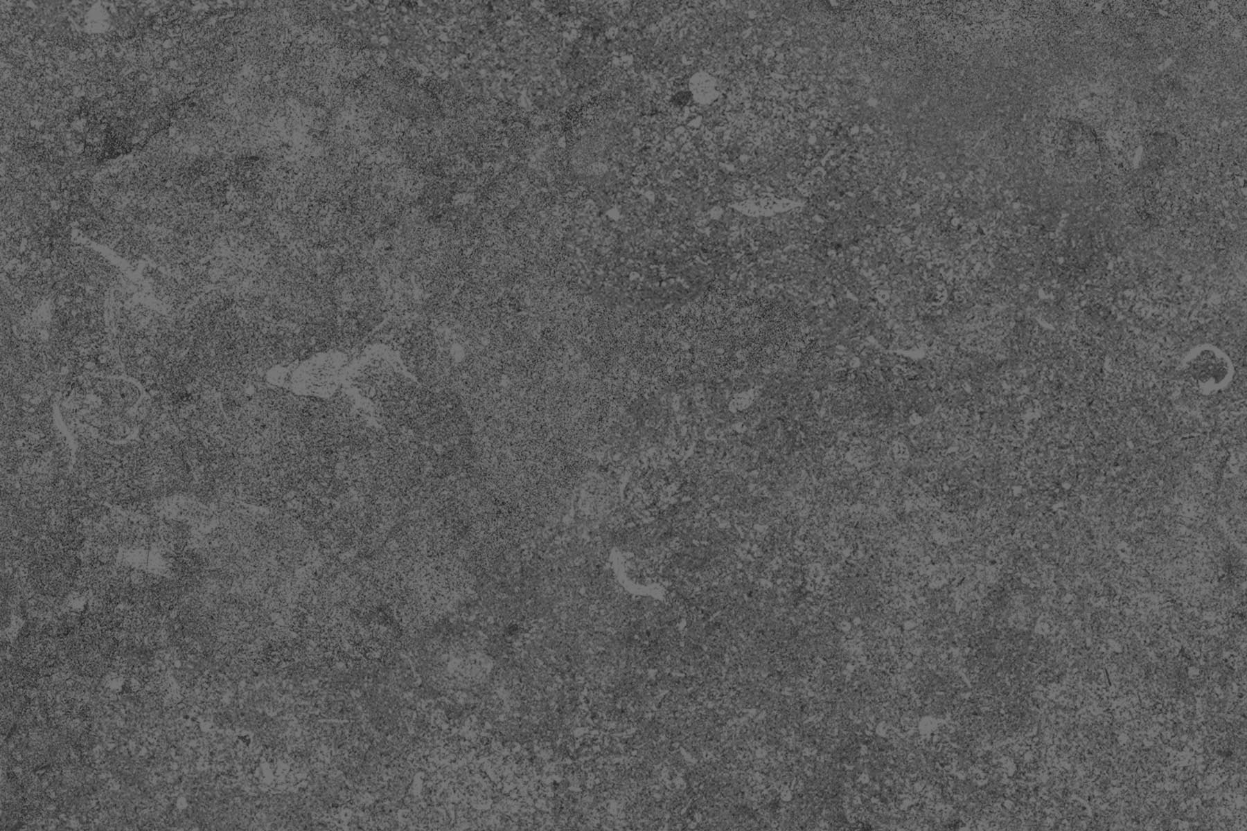 PlateART Wandverkleidung Duschrückwand Küchenrückwand Stein