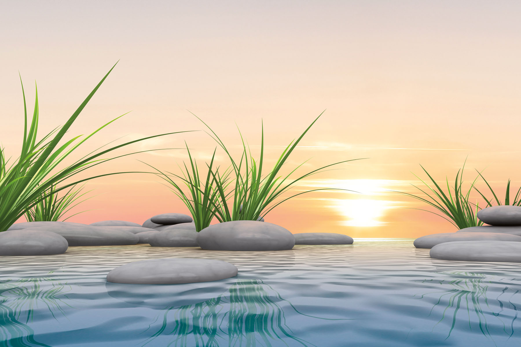 PlateART Duschrückwand Küchenrückwand Wandverkleidung Wellness Spa Zen Steine Gräser Sonnenuntergang