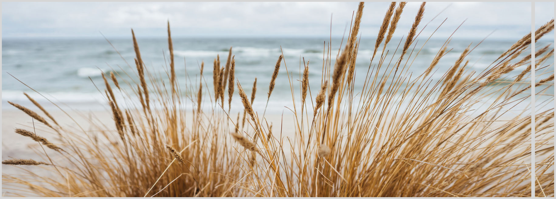 Konfigurator-Bild für ID 1988101