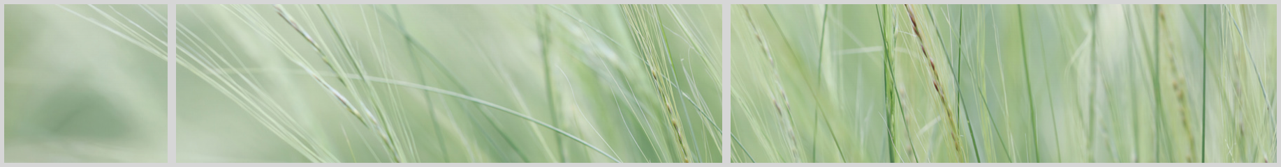 Konfigurator-Bild für ID 1988197