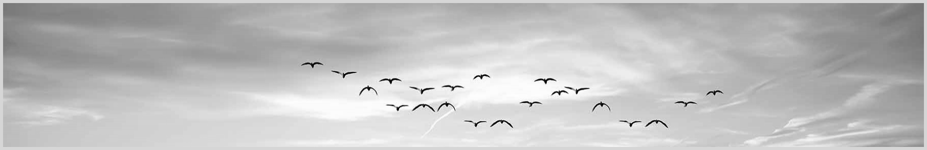 Konfigurator-Bild für ID 1992465