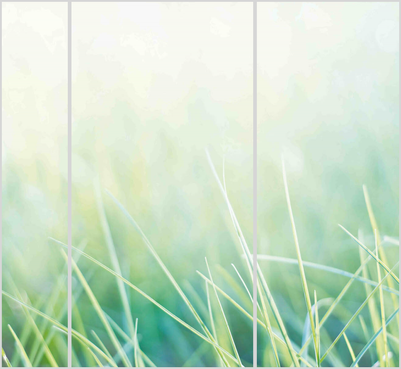 Konfigurator-Bild für ID 1992481