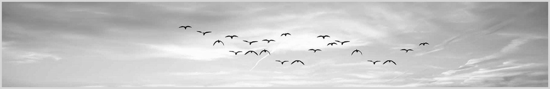 Konfigurator-Bild für ID 1992489