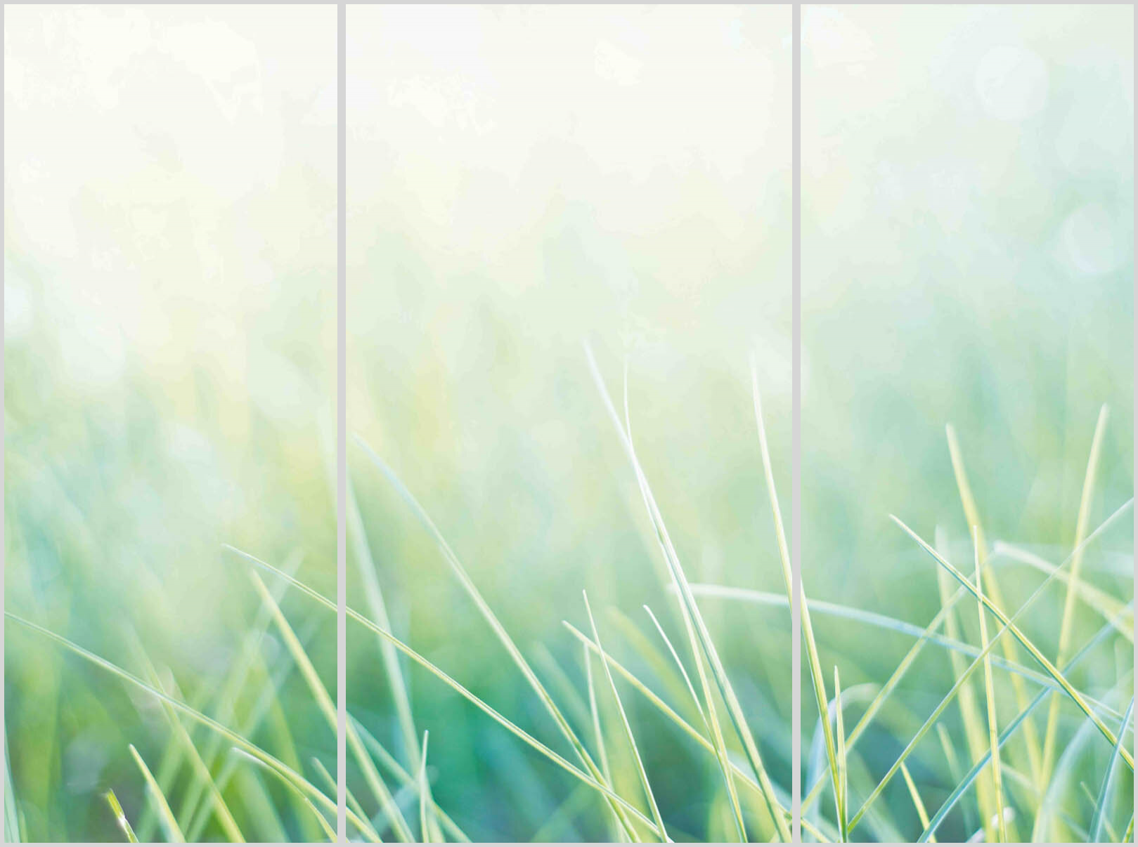 Konfigurator-Bild für ID 1996281