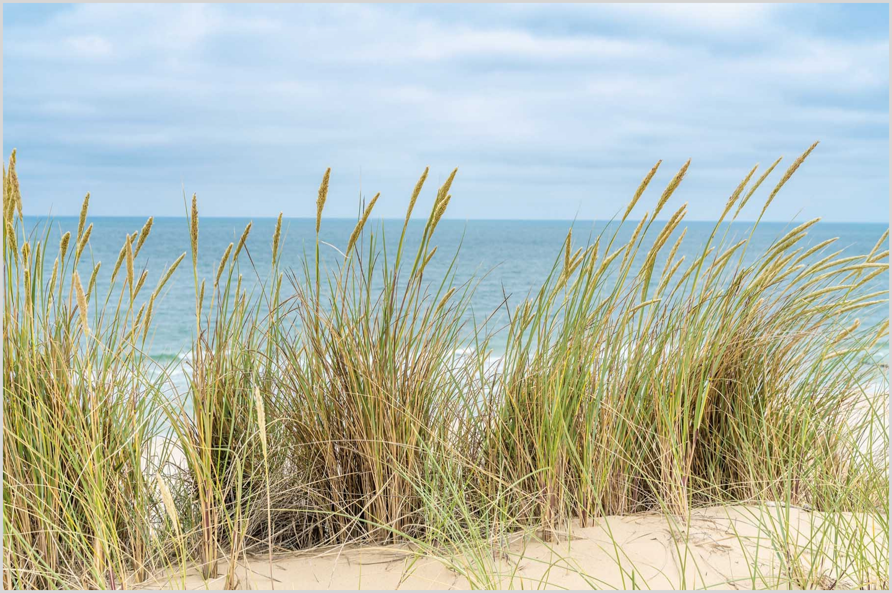 Konfigurator-Bild für ID 1998813