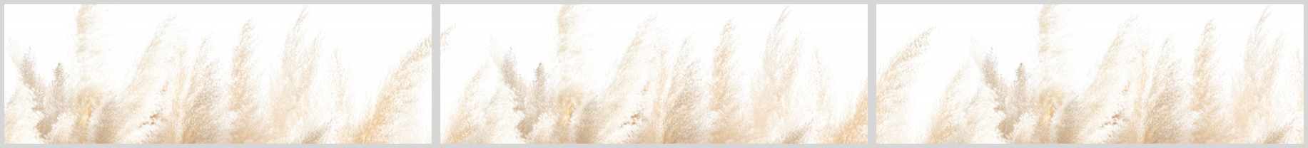 Konfigurator-Bild für ID 2004897