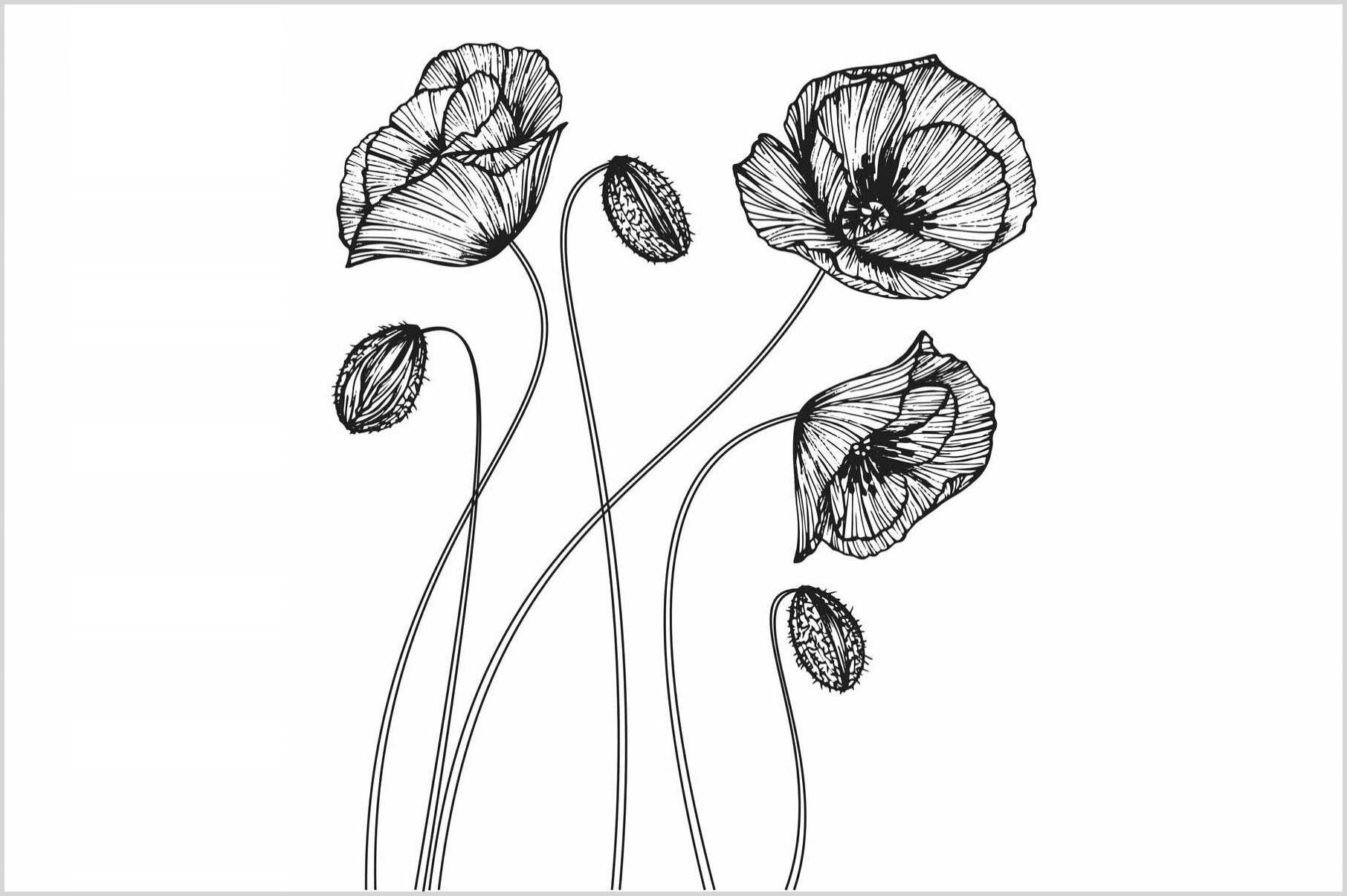 Konfigurator-Bild für ID 2006805