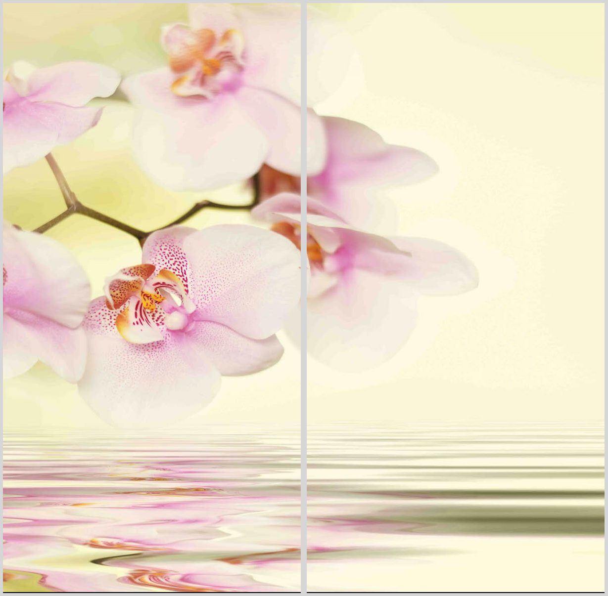 Konfigurator-Bild für ID 2007785