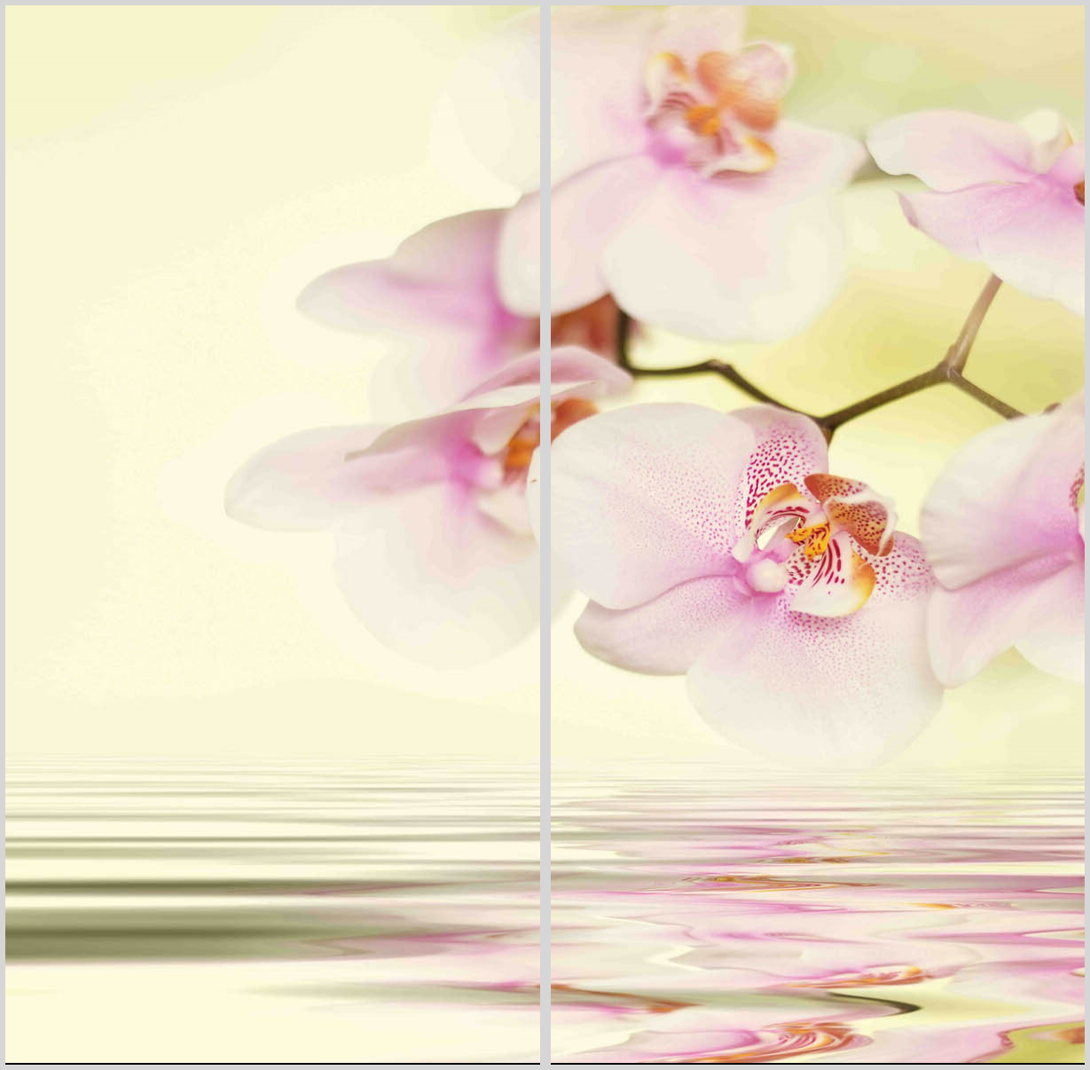 Konfigurator-Bild für ID 2007833