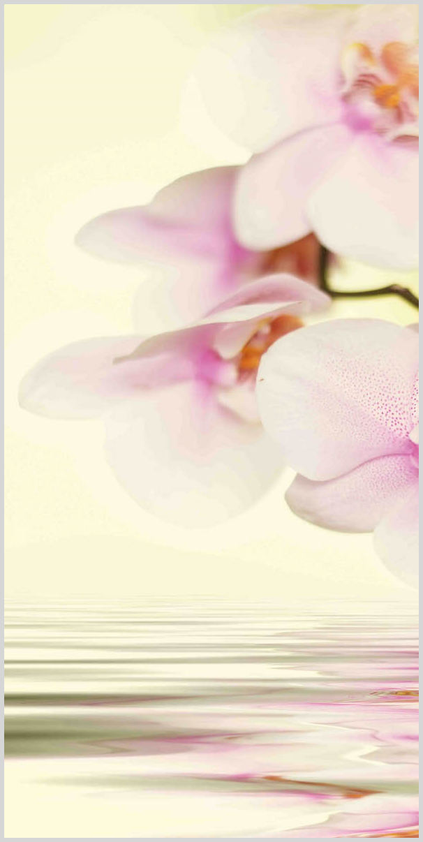 Konfigurator-Bild für ID 2007865