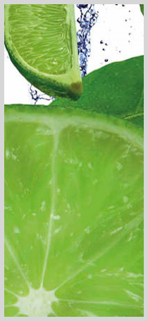 Konfigurator-Bild für ID 2009153