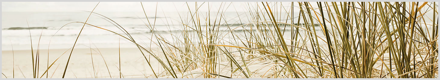 Mar 05 18 2 - 2011485