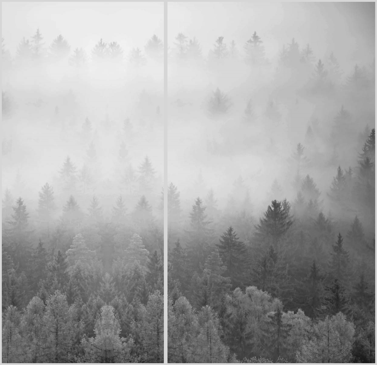 Konfigurator-Bild für ID 2015097