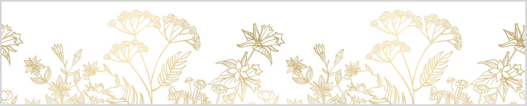 Exk 08 21a - 2027981