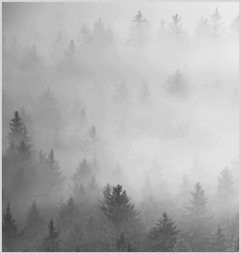 Konfigurator-Bild für ID 2031153