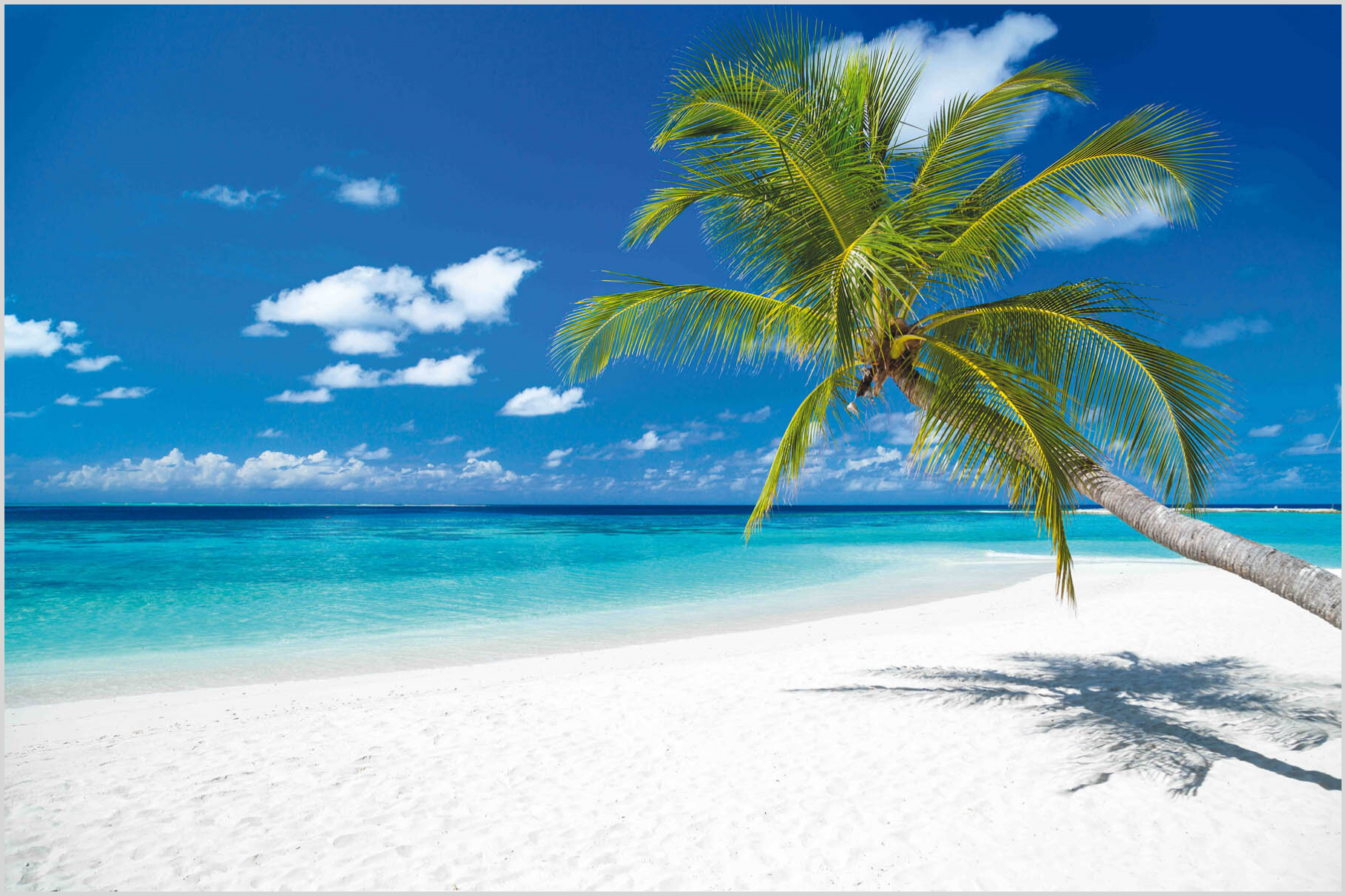 Konfigurator-Bild für ID 2031781