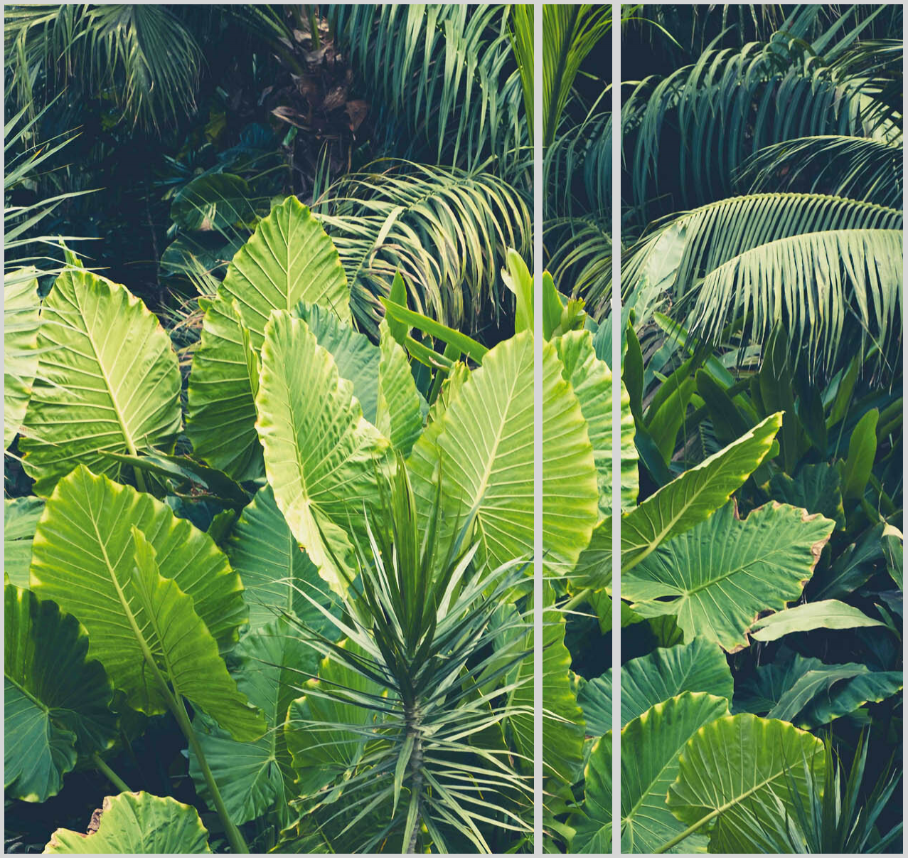 Konfigurator-Bild für ID 2034269