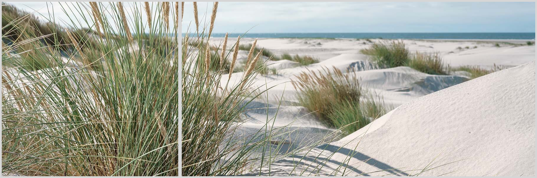 Konfigurator-Bild für ID 2034537