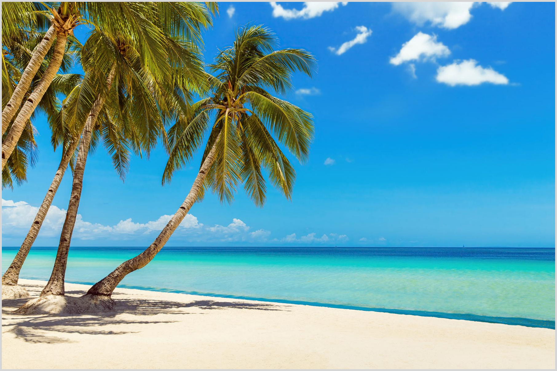 Konfigurator-Bild für ID 2034629