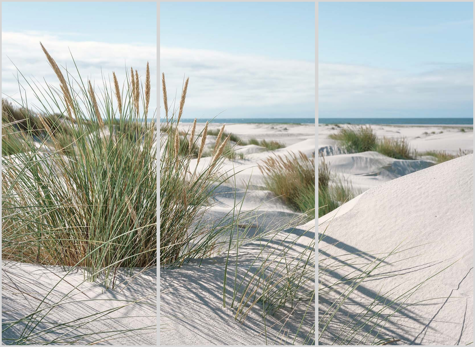 Shop Mar 38 21 - 2049437