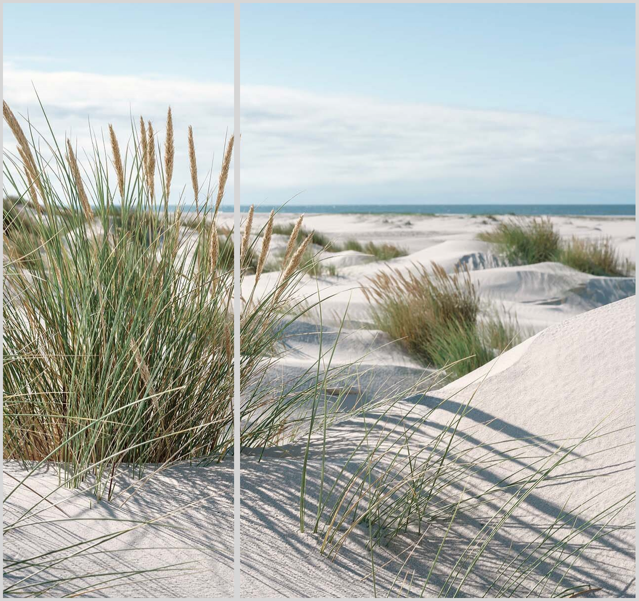 Shop Mar 38 21 - 2049561