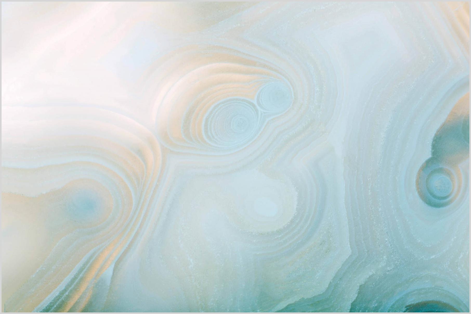 MUSTER Des 09 19 - 2058977