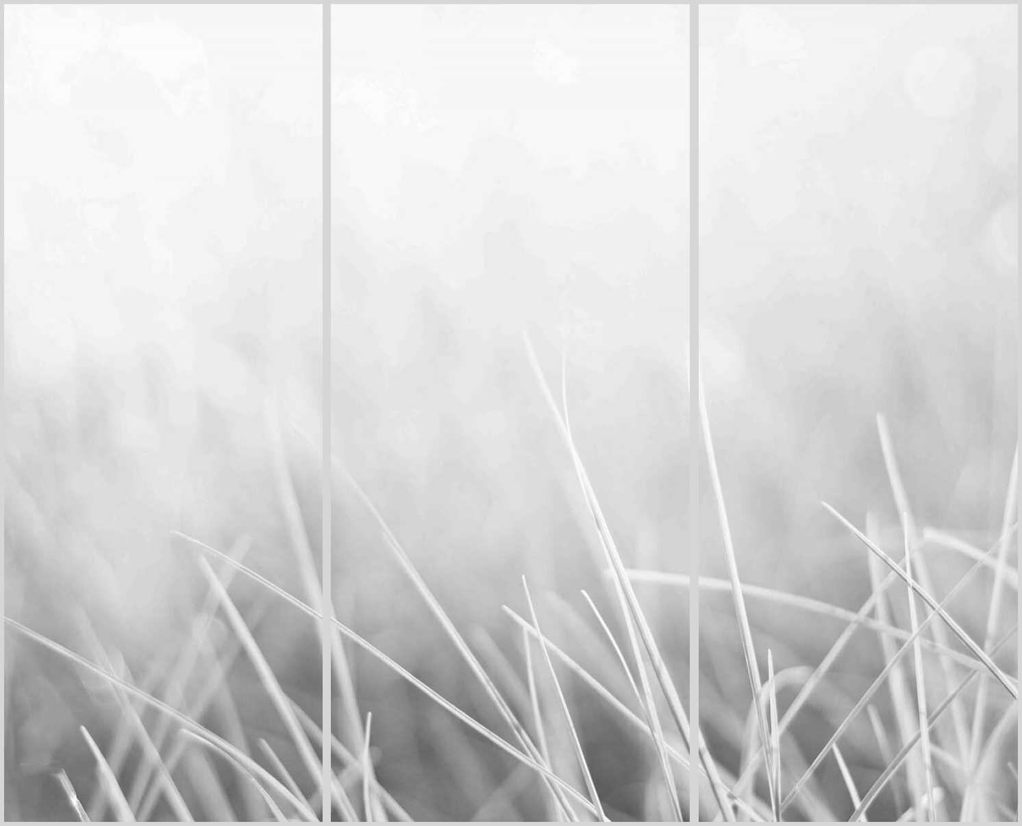 Konfigurator-Bild für ID 2061717