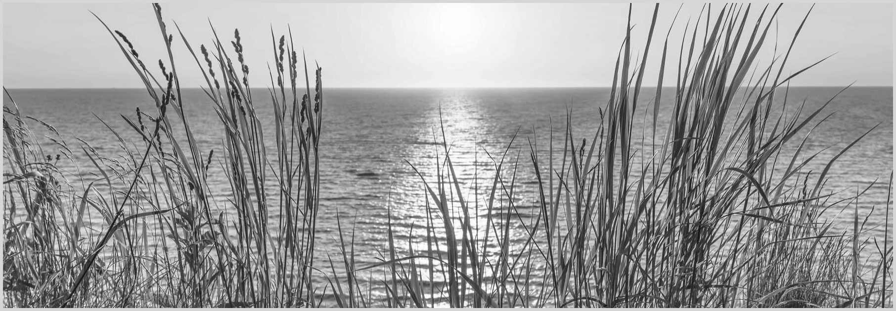 Konfigurator-Bild für ID 2061945