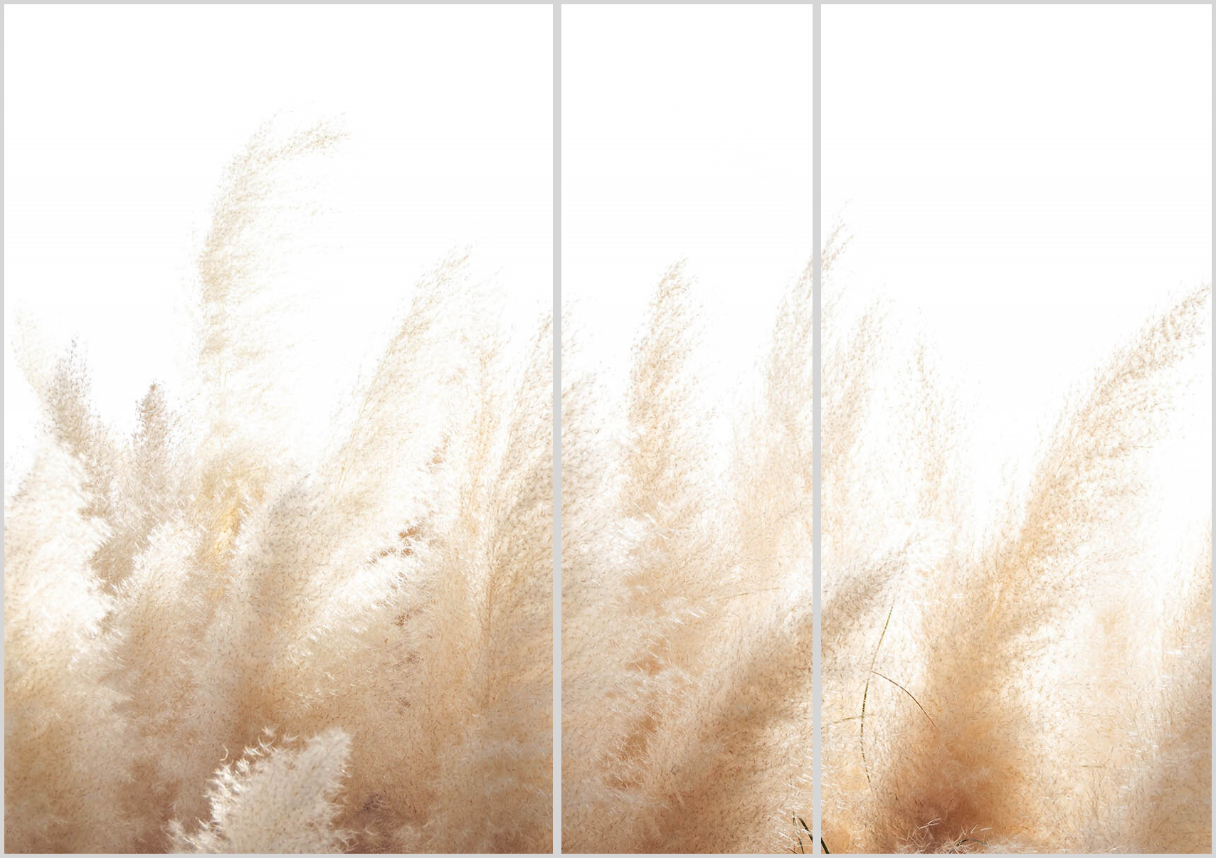 Konfigurator-Bild für ID 2062065