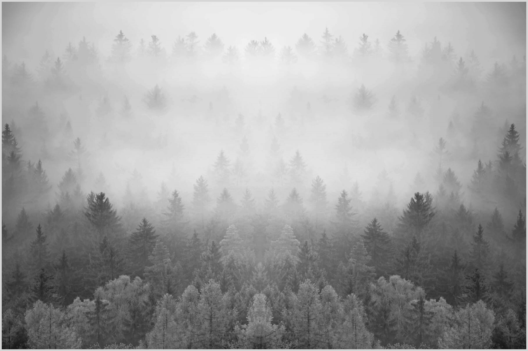 Konfigurator-Bild für ID 2100265