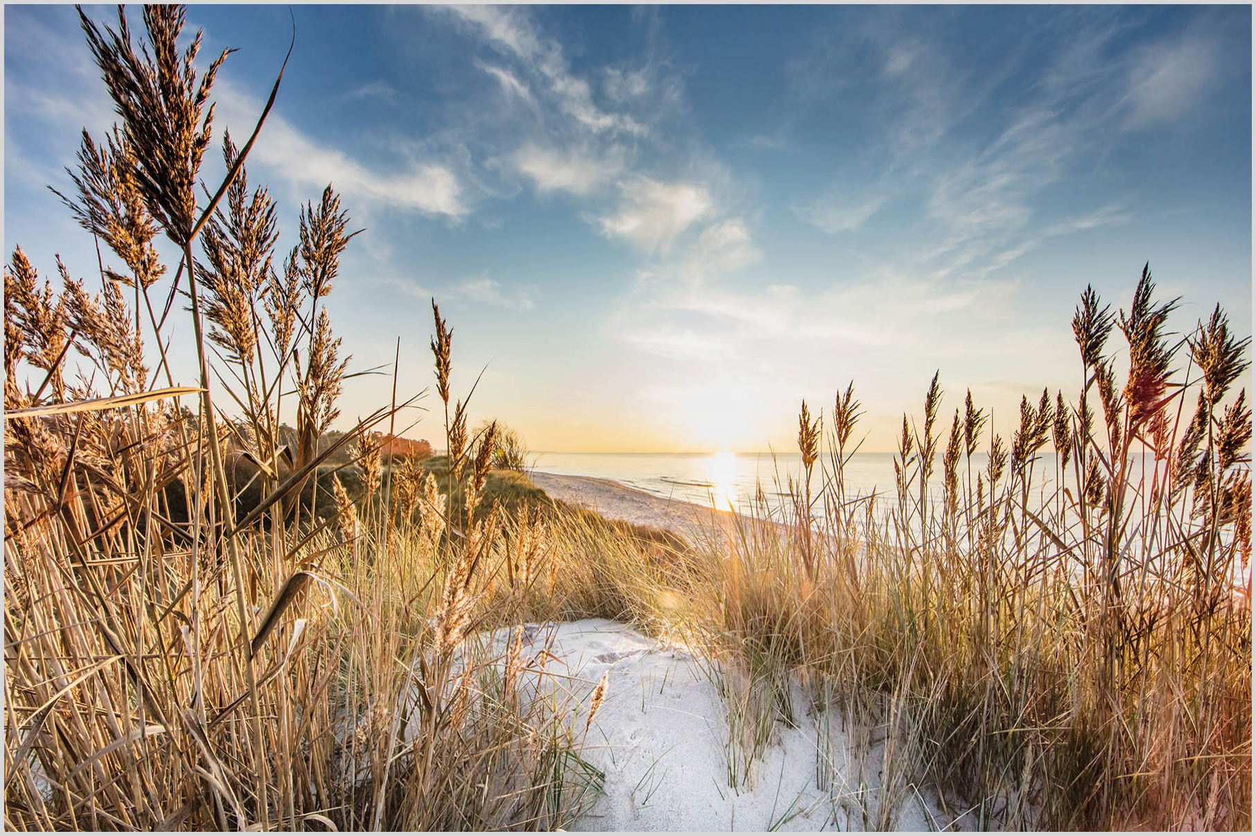 Konfigurator-Bild für ID 2113109