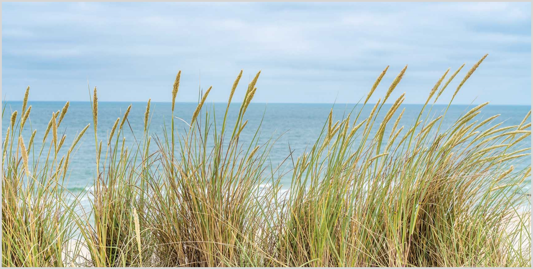 Konfigurator-Bild für ID 2116785