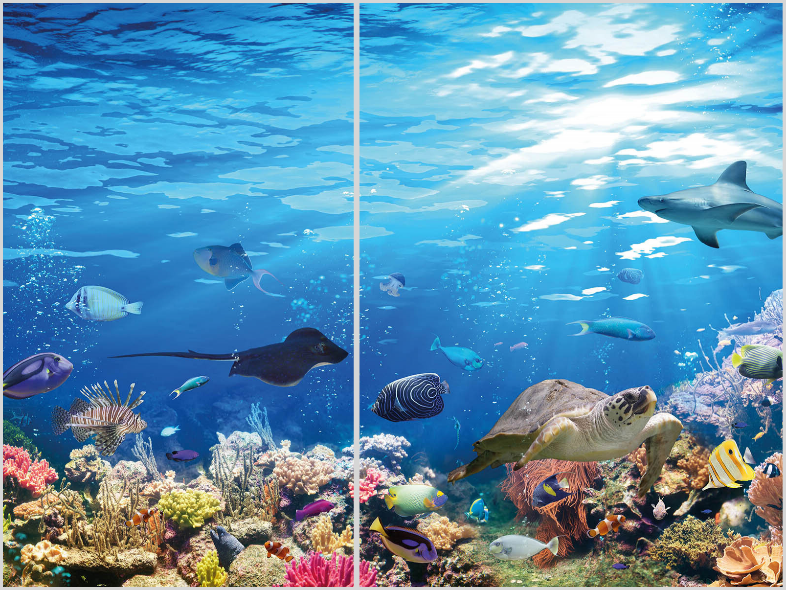 Konfigurator-Bild für ID 2117977