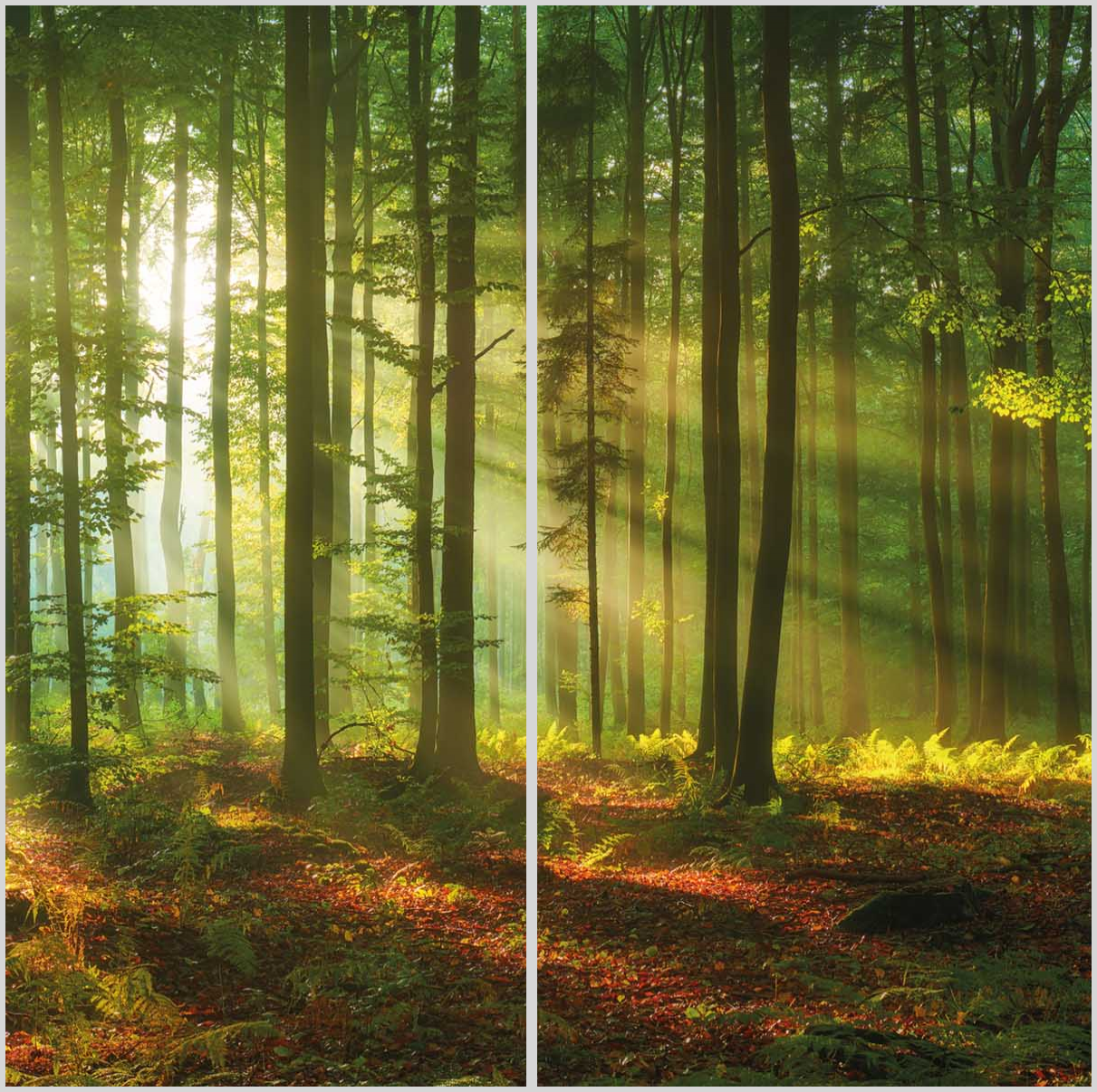 Konfigurator-Bild für ID 2122357